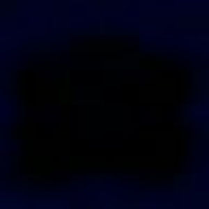 Meet your Posher, Audrey